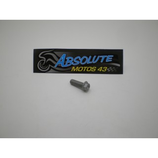 VIS AVEC BRIDE 8X25 CH 10