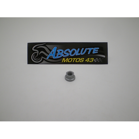 ECROU SPEC. 10.1 25 C.13