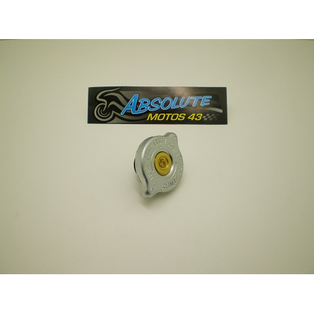 BOUCHON RADIATEUR RK6-50